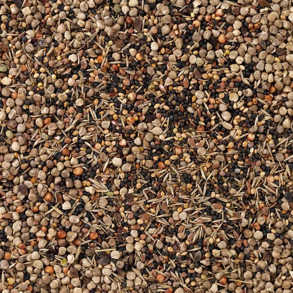 Wild Seed