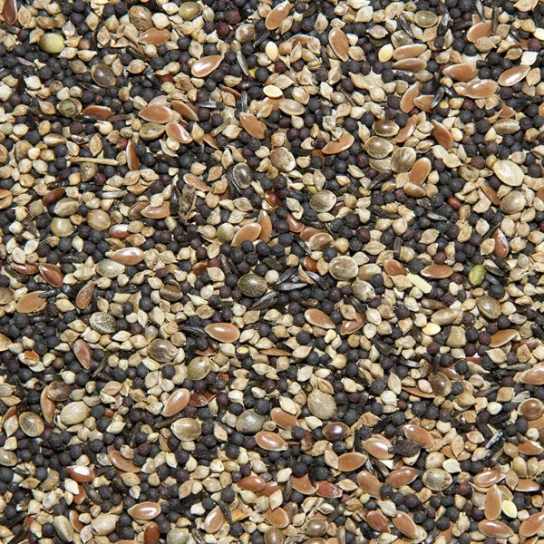 Cagebird Conditioner Seed