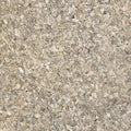 Finebird Oyster Shell