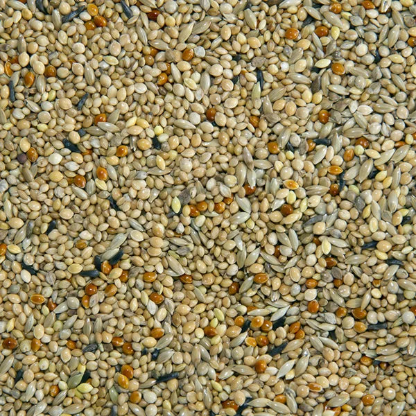 Foreign Finch Mix
