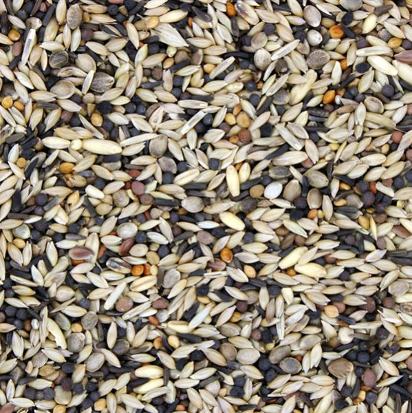 Goldfinch and Siskin Seed Mix