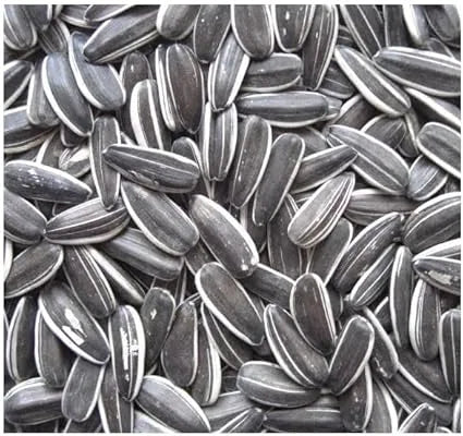Small Sunflower Seed
