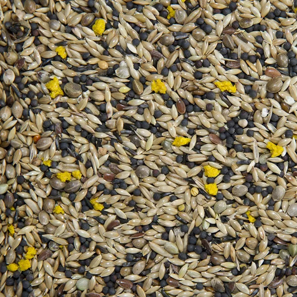 Super Canary Mix -  With Egg