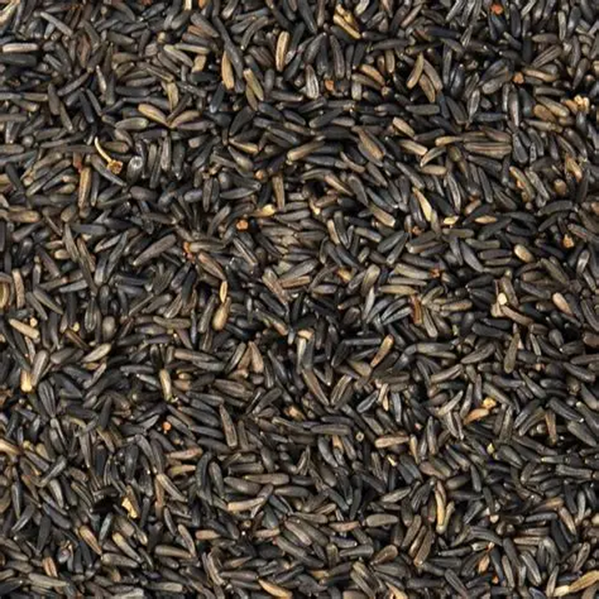 Niger Seed