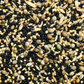 Seed For Soaking - Germination Seed